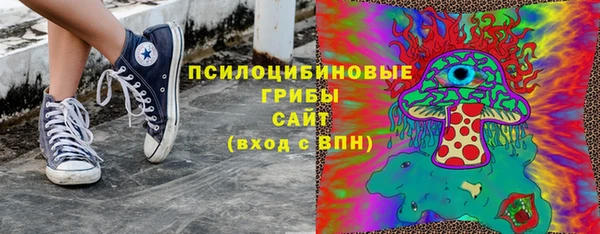 твердый Богородицк